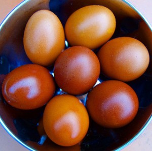 5 Signs That You Are Ovulating